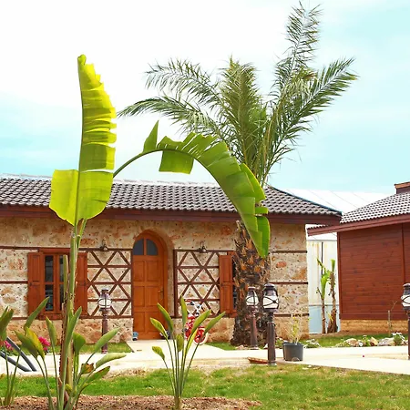 Sedir Park 5* Mahmutlar